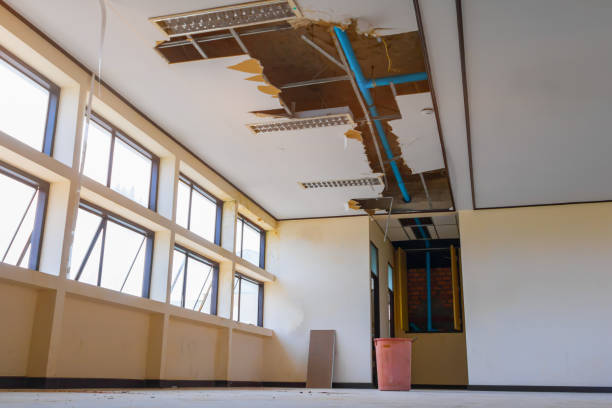 Best Water damage restoration near me  in Norwich, CT