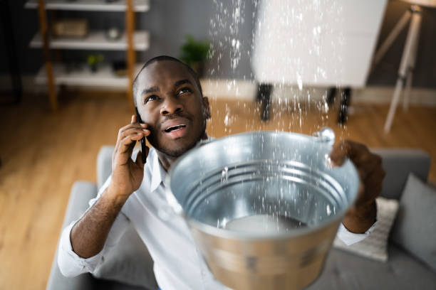 Best Carpet water damage restoration  in Norwich, CT