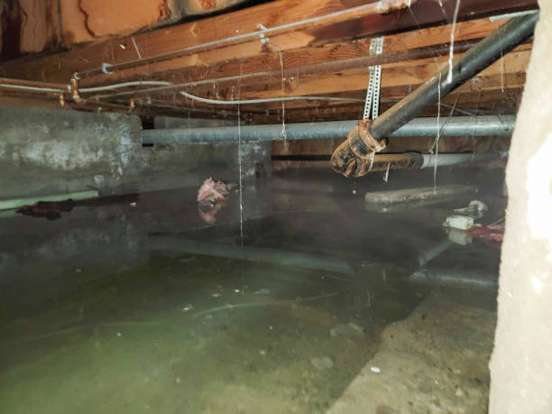  Norwich, CT Water damage restoration Pros