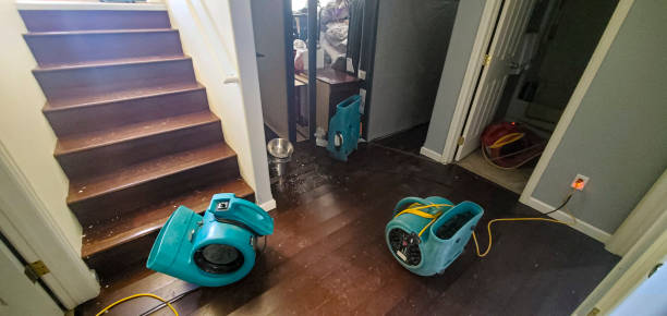 Best Emergency water damage restoration  in Norwich, CT