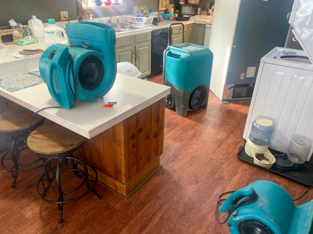 Best 24-hour water damage restoration  in Norwich, CT
