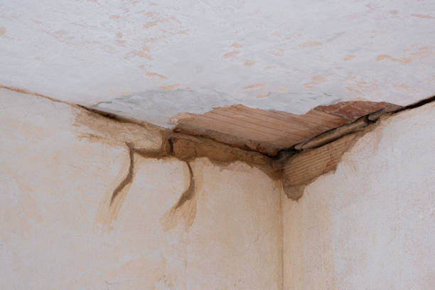 Best Fire Damage Restoration  in Norwich, CT