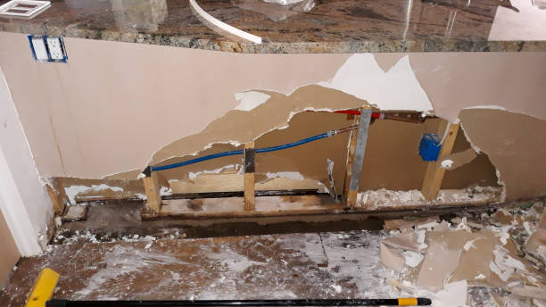 Best Water damage cleanup near me  in Norwich, CT