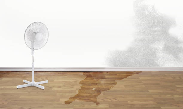 Water damage restoration experts in Norwich, CT