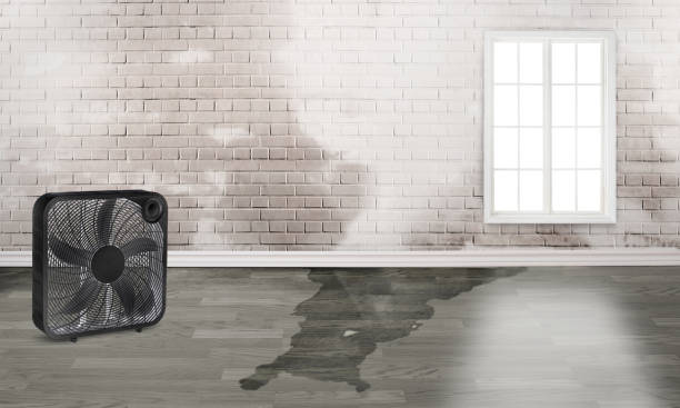 Best Water damage restoration near me  in Norwich, CT