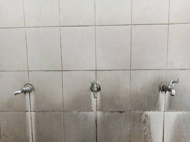 Carpet water damage restoration in Norwich, CT