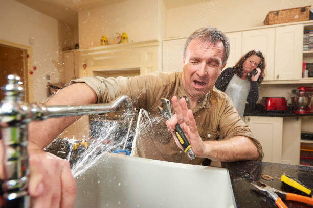 Best Basement water damage restoration  in Norwich, CT